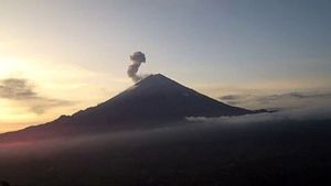 Gunung Semeru Erupsi Petang Ini dengan Letusan Setinggi 800 Meter