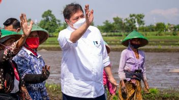 La Ministre Coordinatrice Airlangga Hartarto : Il Est Temps Pour Les Agriculteurs De La Génération Y D’appliquer L’agriculture Intelligente