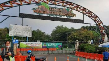 Viral Sun Bears In Ragunan Thin, Management: Our Treatment According To Standards