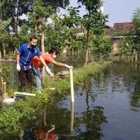 Balita Tewas Tercebur ke Kolam Ikan di Tulungagung
