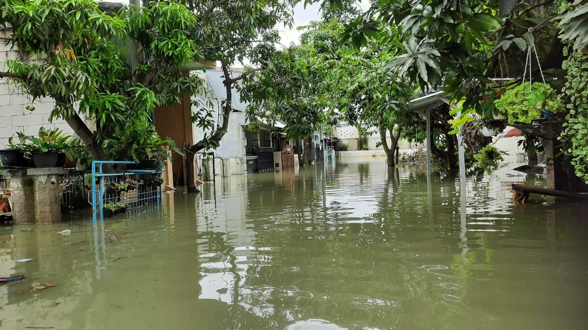 Banjir 4 Wilayah Kabupaten Tangerang Belum Surut, Ketinggian Air Capai 1,5 Meter