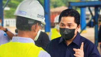 Saham 5 BUMN Beralih ke RNI, Erick Thohir Resmi Bentuk Holding Pangan