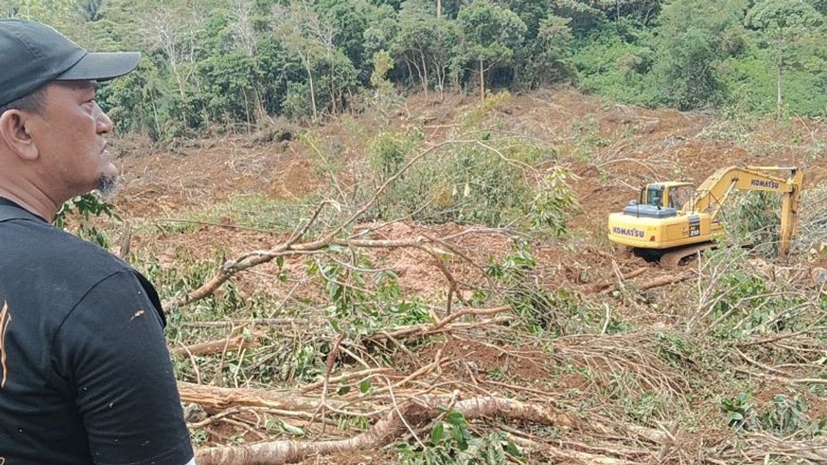 Ekskavator Mulai Cari Korban Longsor di Tinggam Talamau Pasaman Barat