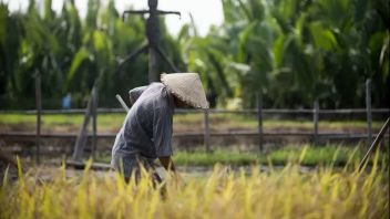 Two Farmers Carrying Firearms on a Motorcycle in the Early Morning Were Arrested in East OKU, South Sumatra
