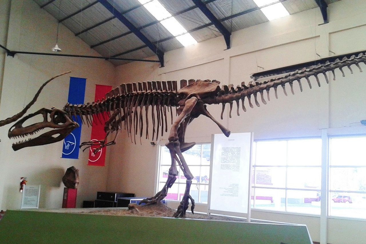الديناصورات ... عظام يمثل ديناصور