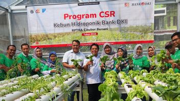 Bank DKI Inaugurates Hydroponic Gardens At RPTRA Cibubur