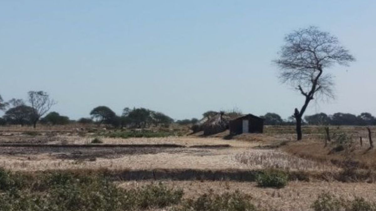 These 2 Regions In NTT Experience Very Long Days Without Rain, Maximum 60 Days