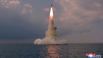 North Korea Allegedly Fired A Ballistic Missile, Japanese Defense Minister: It Landed Outside Our EEZ