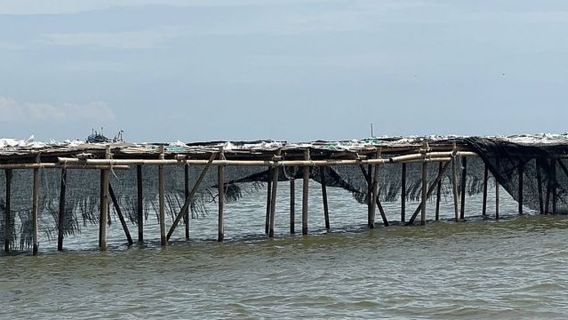 Ombudsman Urges KKP To Immediately Unload Illegal Sea Fences In Tangerang That Harm Fishermen