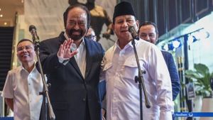 Pertemuan Prabowo Subianto dan Surya Paloh adalah Sekedar Melanjutkan Tren Rekonsiliasi