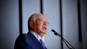 Menteri Malaysia Sebut Permohonan Pengampunan Kerajaan untuk Mantan PM Najib Razak Bukan Sikap Pemerintah
