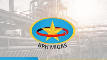 Ensure Sufficient Natural Gas For Industry, Head Of BPH: The Challenge Is Contract Expiration Next Year