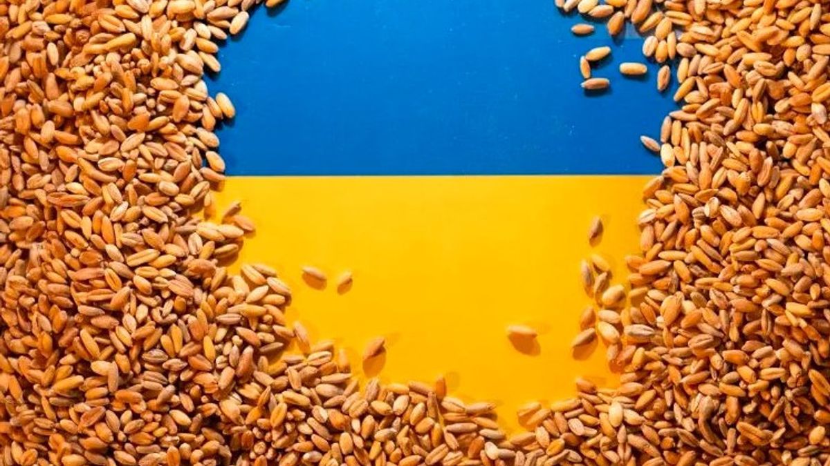 Meskipun Dalam Kondisi Perang, Ukraina Ekspor 50 Juta Ton Biji-Bijian