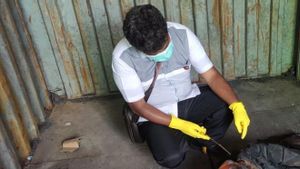 Polisi Duga Penyebab Kematian Wanita di Peti Kemas Pelabuhan Tanjung Priok karena Kekurangan Oksigen