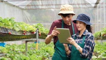 Apa Itu Digital Farming: Berikut Penjelasan, dan Manfaatnya