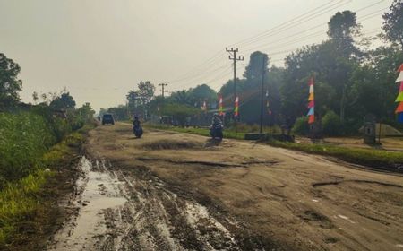 Usai Viral, Pemprov Lampung Pastikan 14 Jalan Rusak Sudah Mulus Akhir Tahun