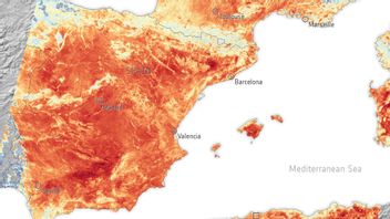 Image From Copernicus Sentinel-3 Satellite Reveals Forest Fire Damage Due To Heat Wave In Europe