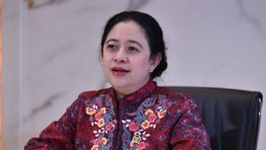 Perangi Krisis Iklim, Puan Minta Pemerintah Gencar Perbanyak Buka Investasi Proyek Energi Terbarukan