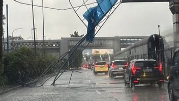 Extreme Weather Causes Trees to Fall on Toll Road, Jasa Marga Evacuates