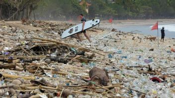 Saat 'Mermaid' Muncul di Pantai Kuta Bali, Berpose di Tengah Hamparan Sampah