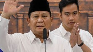 Survei: Penegakan Hukum Pemerintahan Prabowo–Gibran Terima Penilaian Positif Publik