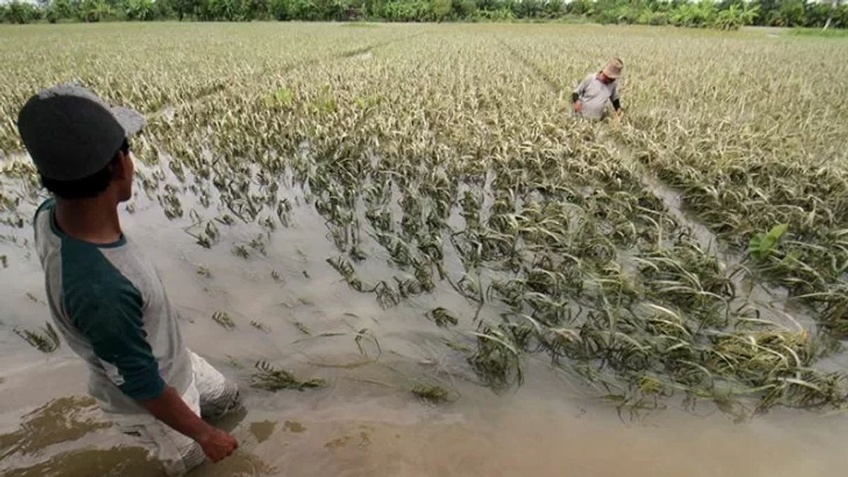 OKU dans le sud de Sumatra fixe un état d’alerte aux inondations et aux glissements de terrain