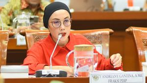 عضو مجلس النواب: لا تتعاون الأجهزة مع مرتكبي العنف الجنسي