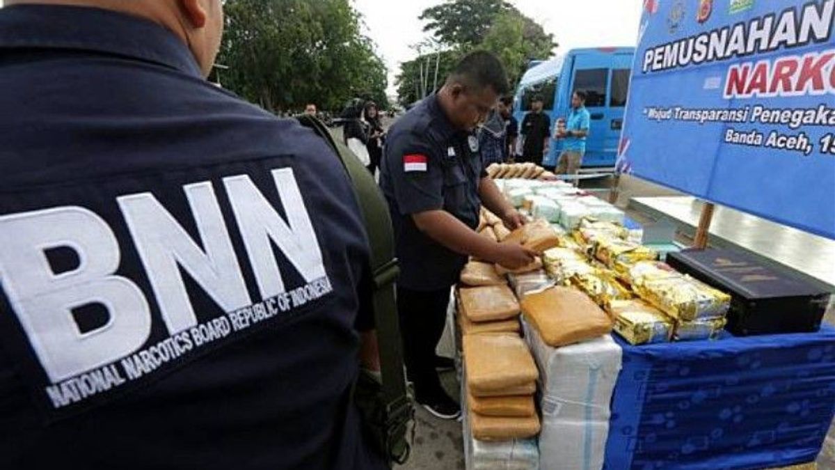 إلى BNN: متعاطي المخدرات الذين يرغبون في إعادة تأهيل تقرير BNN لن يعاقب عليهم