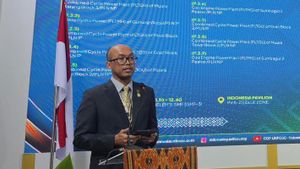 PLN Gandeng Mitra Norwegia dan Jepang untuk Dorong Pasar Karbon Lintas Negara