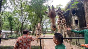 Bakal Naikkan Harga Tiket Ragunan, Pramono: Kita Menjual Diri Terlalu Murah