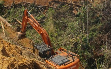 Pemkab Dalami Laporan Dugaan Oknum DPRD Mukomuko Terlibat Perambahan Hutan Ilegal