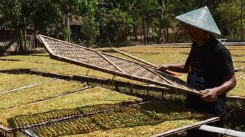 Pemerintah Harus Pertimbangkan Berbagai Sisi dalam Merumuskan Kebijakan Kenaikan Cukai Hasil Tembakau