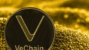 VeChain Gets New Patent, VET Token Can Rise?