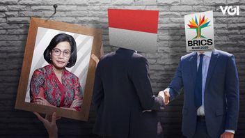 IMFへの滞在、ブリックスへの歓迎