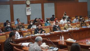 Anggota Komisi X DPR Rano Karno Ingatkan PSSI Jangan Kebanyakan Naturalisasi Pemain