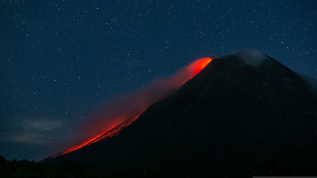 Berita Gunung Merapi: Hari Ini Guguran Lava Pijar Meluncur Sejauh Satu Kilometer