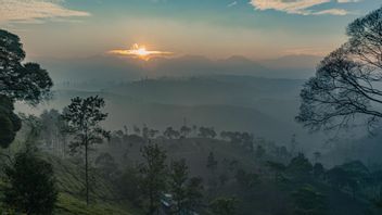 Pangalengan Bandung Tourisme, Profiter De L’air Frais à Tea Plantation Et Bosscha Observatory