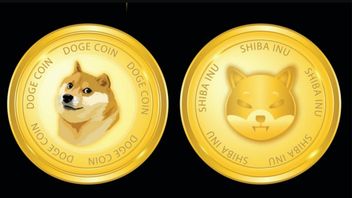 Soon, (DOGE) And Shiba Inu (SHIB) Will Be Able To Be Used To Buy Tickets At AMC Theaters' Cinemas