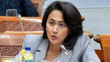 Anggota DPR: Indonesia Butuh UU Primer Terkait Perlindungan Data
