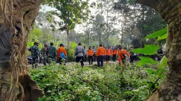 Un Homme De 80 Ans Disparu Dans La Forêt De Konawe N’a Pas été Retrouvé, Rayon De Recherche 1,5 Km