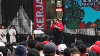 梅加瓦蒂·辛迪尔(Megawati Sindir)在投票前分配大规模大米社会援助计划:这笔钱来自哪里?