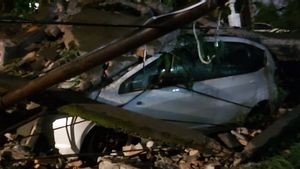 Honda Jazz Putih Ringsek Tertimpa Pohon dan Tembok akibat Hujan Disertai Angin Kencang di Setiabudi Jaksel