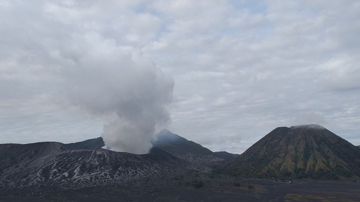 الوكالة الجيولوجية: النشاط البركاني لجبل برومو يزداد والوضع لا يزال في حالة تأهب