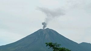 Warga Diminta Waspadai Dampak Aktivitas Gunung Semeru