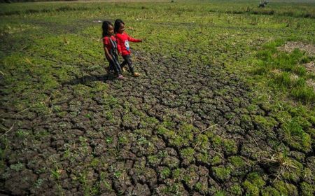 BNPB: Jawa Hingga Nusa Tenggara Waspada Kekeringan Akhir September-Oktober