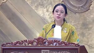 Puan Maharani Sebut Adies Kadir Sudah Aktif Lagi jadi Wakil Ketua DPR