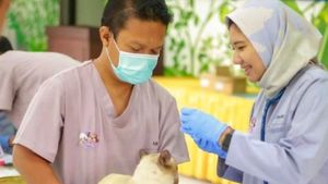 Penanggulangan Rabies, Madiun Gratiskan Vaksinasi Hewan Peliharaan