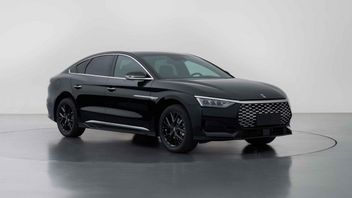 Linghui Officially Launched, BYD's New Step to Develop Online Transportation Business
