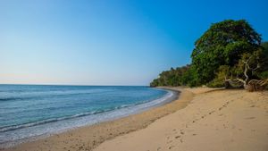 7 Rekomendasi Wisata Pantai di Malang saat Libur Nataru 