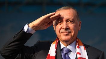 Turkey Ready To Help Libya Handle War